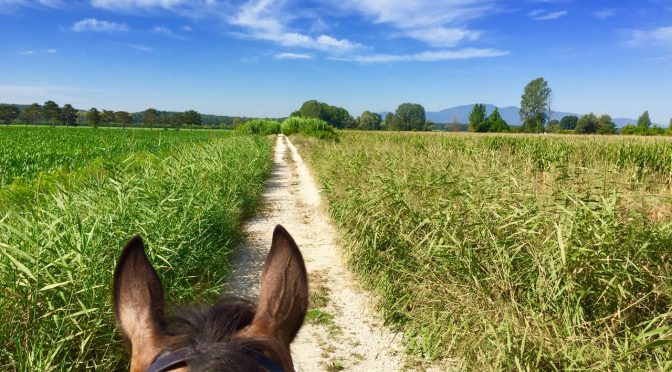 Escursione a cavallo