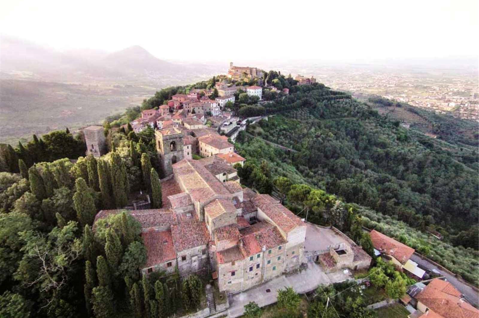 Oliveti e Colli di Valdinievole, il Poggio alla Guardia