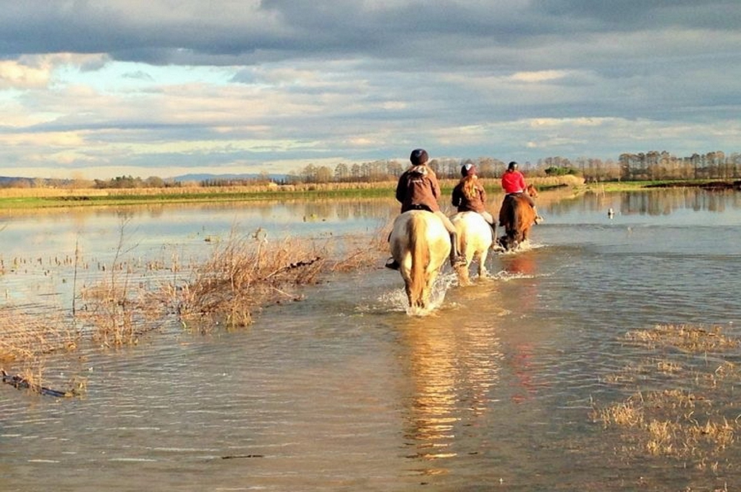 A cavallo nel Padule di Fucecchio